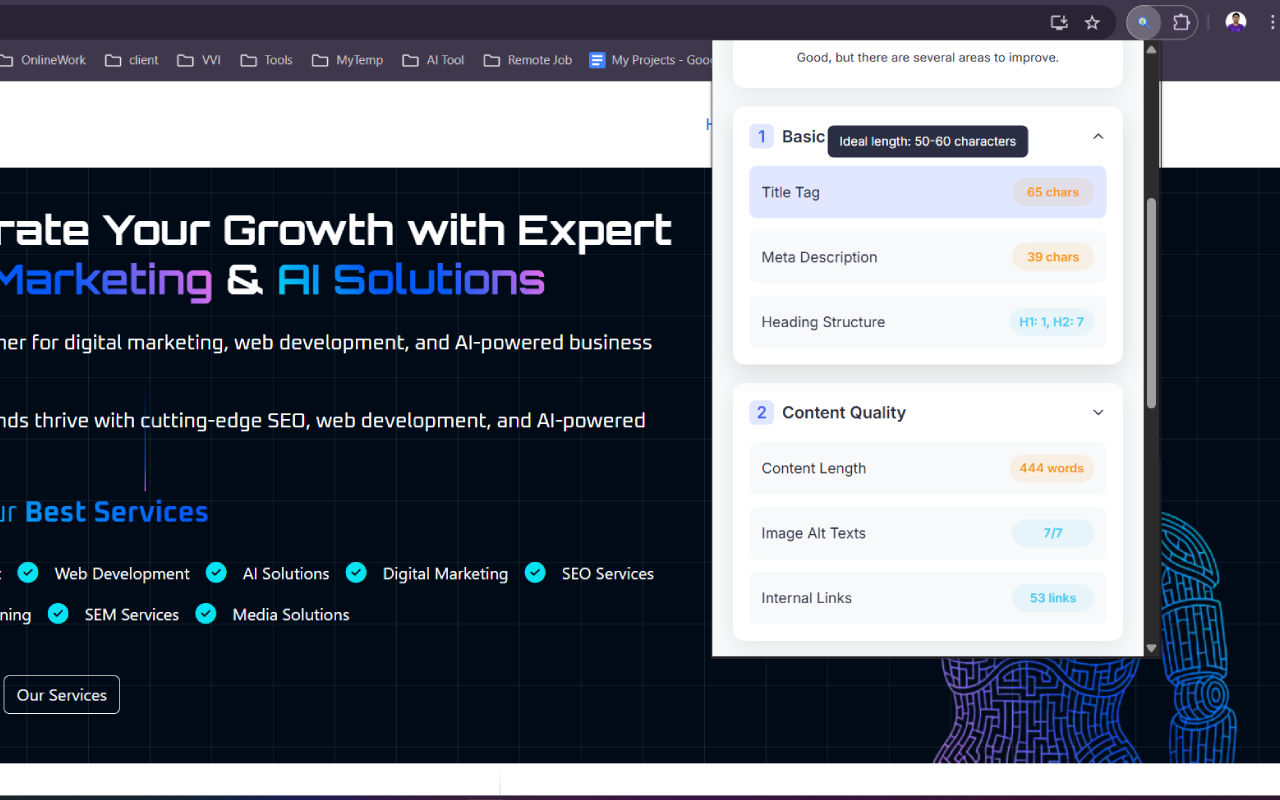 SEO Checklist extension on-page audit results screenshot